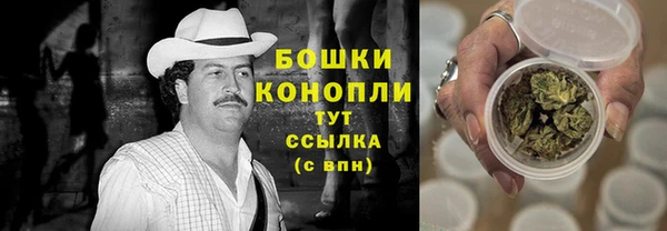 apvp Горнозаводск