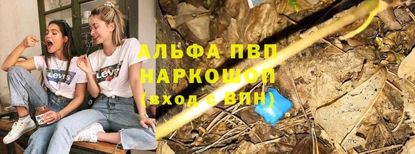 apvp Горнозаводск