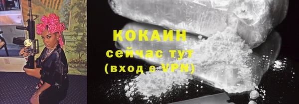 apvp Горнозаводск