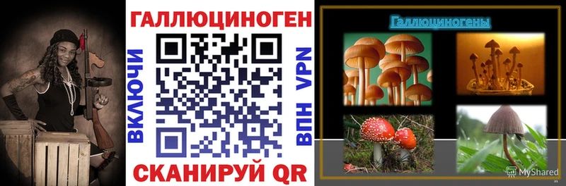 Псилоцибиновые грибы GOLDEN TEACHER Заозёрный